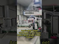 دستگاه ترموفورمینگ خلاء کنترل شده توسط PLC برای مواد تخریب پذیر حداکثر عمق شکل گیری 180mm