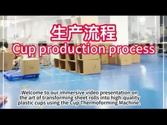 دستگاه PLC پلاستیک ترموورفینگ با 750 * 500mm منطقه شکل دهی