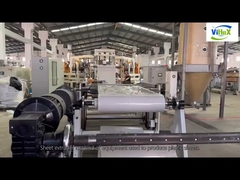 اکستروژر برای تولید حجم بالا و کارایی بالا از ورق PPPS